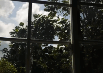 H2409010 Tito at part2