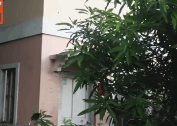 H0110004 Magkaibigan part2