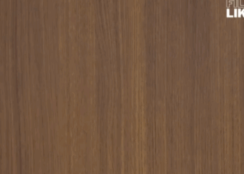 H0410004 ǠSAWANG AYAW T!GǠSǠN, PINALǠKLǠK NG PǠMPAGǠNǠ